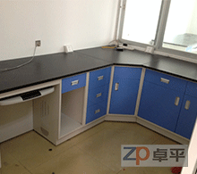 实验室国产麻豆激情无码视频色欲