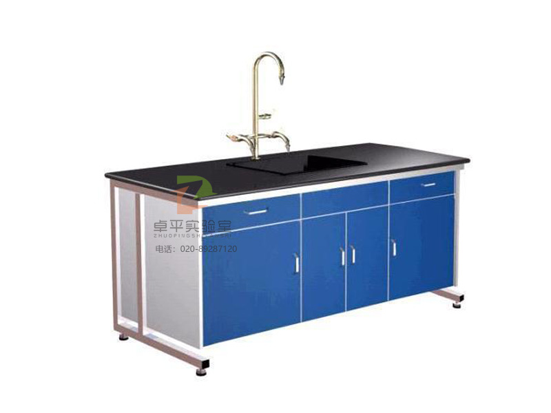 实验室洗涤台